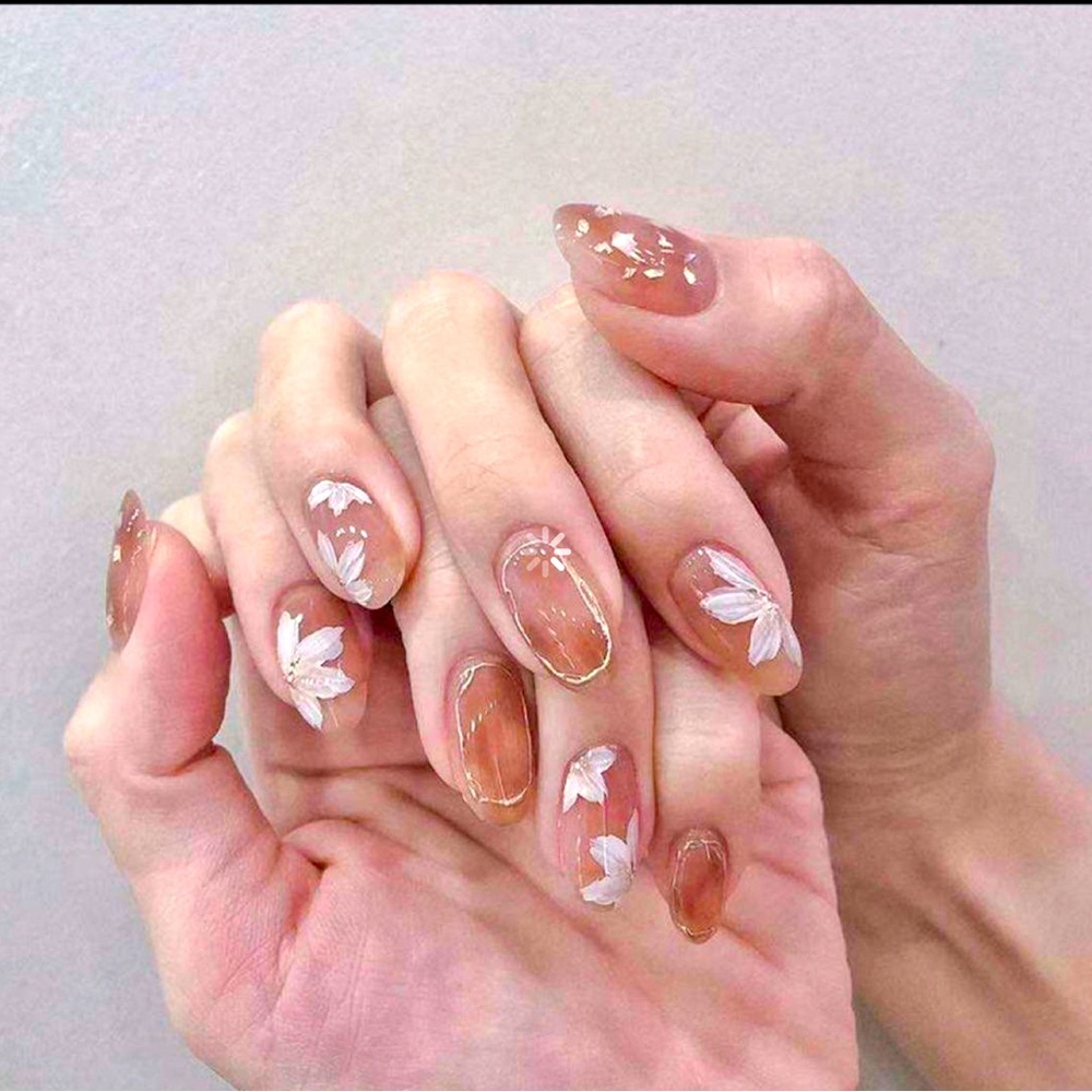 24pc Nail Kit  Jelly Brown Nails With Gold Accent and Flower Brush Ar